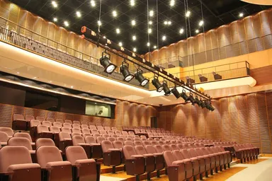 Auditorium Motorized Stage Light Bar. 